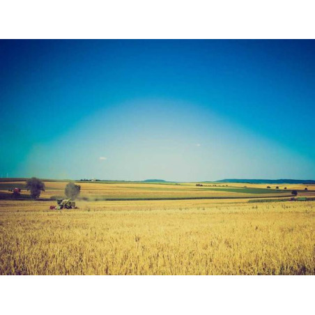 Small Silk Knife fr-FR